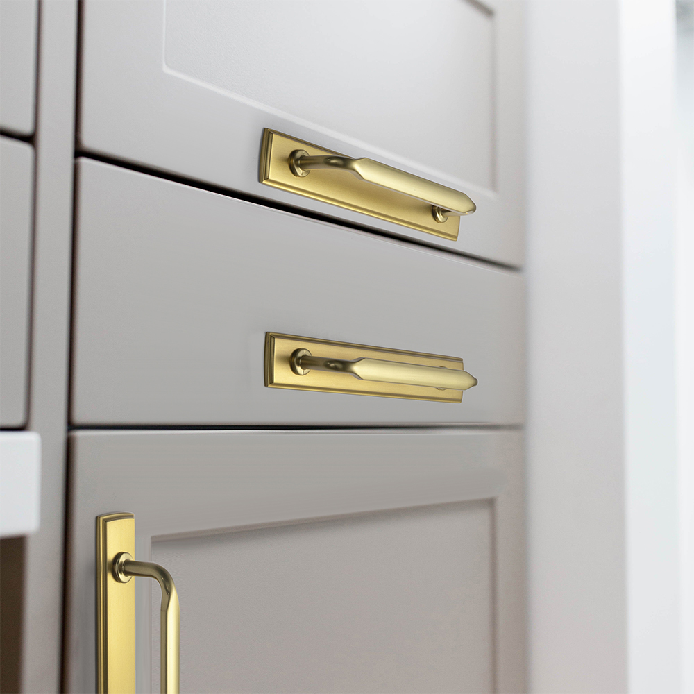 Ручка шкафа из матового золота – обзор и цена Furniture Hardware With Backplate